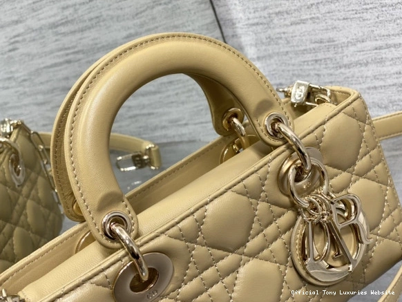 Tony Luxuries D-JOY LADY BAG-22*12*6CM diro 0723